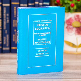 Hristos Lucrarea - Meditatii la Faptele Apostolilor cap. 17-28, Nicolae Moldoveanu