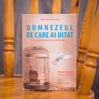 Dumnezeul de care ai uitat,  francis, chan,