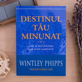 Destinul tau minunat - Wintley Phipps