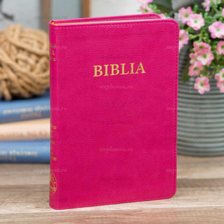 Biblia SBR medie - 057 TI PU - Roz