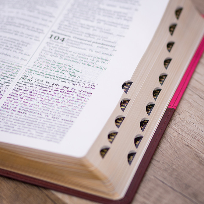 Biblia de studiu pentru o viață deplină (Roz/Maro) - 03 - stephanus.ro