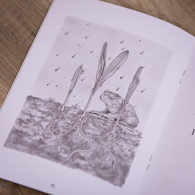 O samanta - minunea lui Dumnezeu  - Rebecca Newswanger - 02 - stephanus.ro