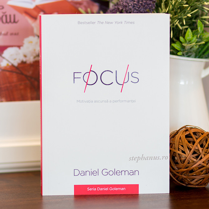 Focus - Motivatia Ascunsa A Performantei