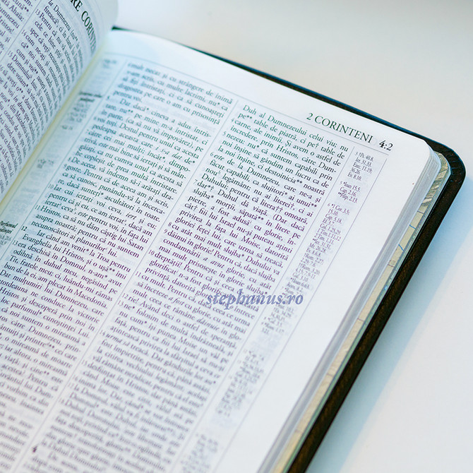 Biblia Literala - 06  - stephanus.ro