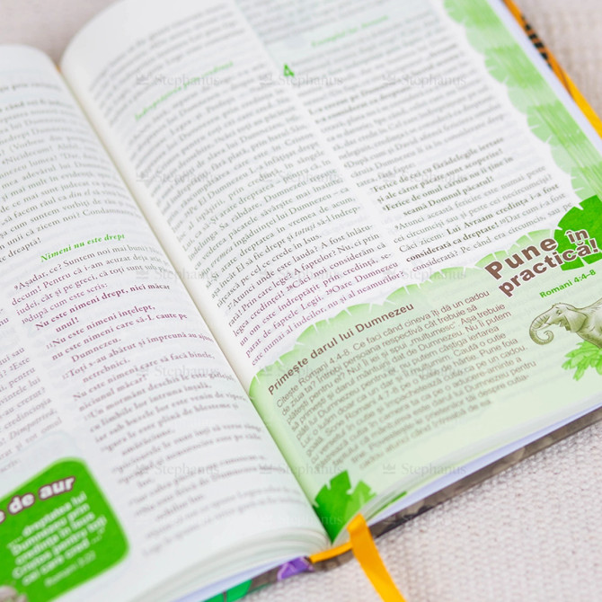 Călătorie ilustrată în Noul Testament - 02 - stephanus.ro