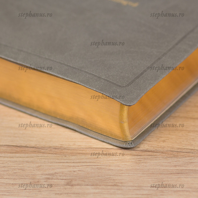 Biblia Sbr Romana-Germana - Editie Bilingva Gri - Pu