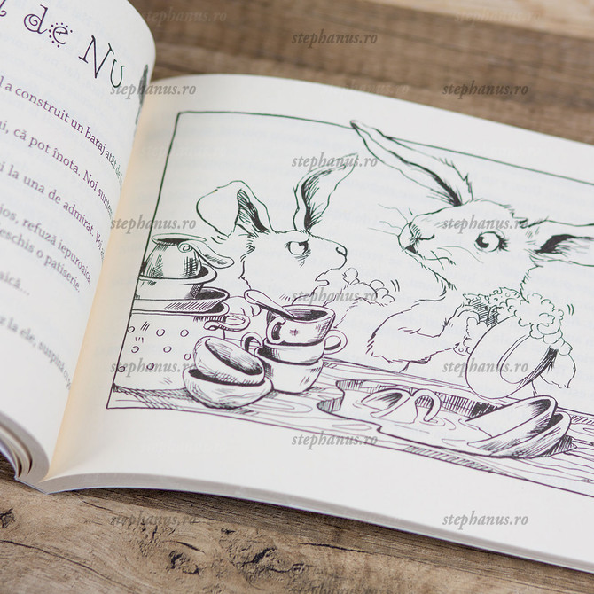 Avionul și baloane în soare - Set 2 cărti - 07 - stephanus.ro