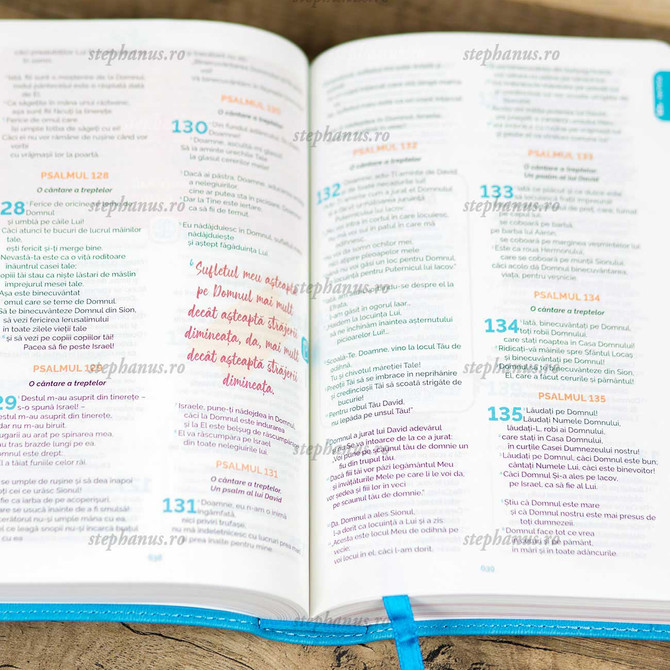 Biblia Evs Adolescentului Albastru