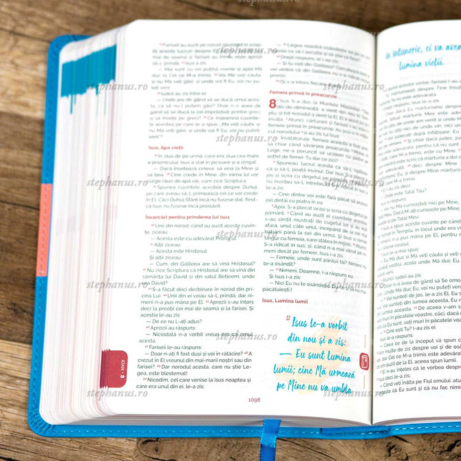 Biblia adolescentului EVS Albastra - 08 - stephanus.ro