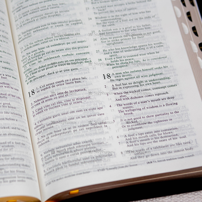 Biblia mare Romana-Engleza - Grena - Editie Bilingva (Fermoar, Aurita) - ZTI - 06 stephanus.ro