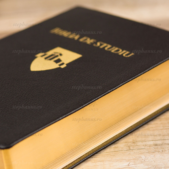 Biblia de studiu EVS - 02 - stephanus.ro
