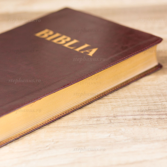 Biblia SBR 073 CM - Maro inchis