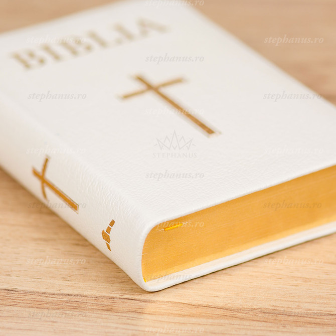 Biblia EVS Mica 043 TI cu cruce Alba