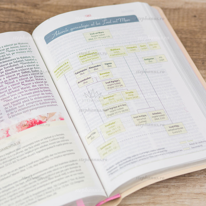 Biblia pentru femei Crem, 9, stephanus.ro