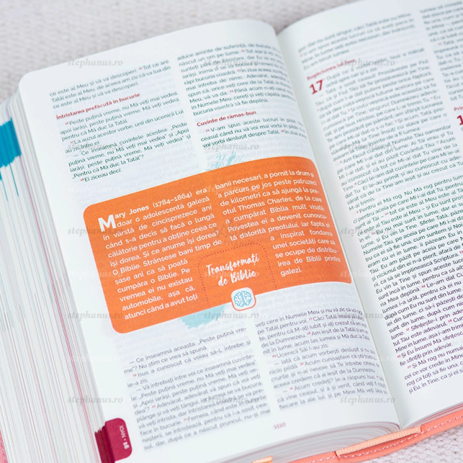 Biblia adolescentului EVS Roz - 03 - stephanus.ro