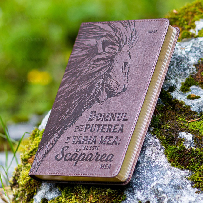 Jurnal: Domnul este puterea si taria mea: El este scaparea mea, Stephanus.ro 02