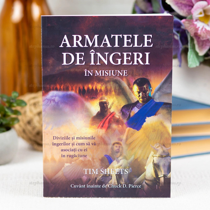 Armatele de ingeri in actiune - Tim Sheets - stephanus.ro