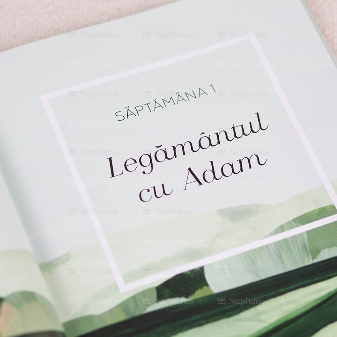 Promisiuni: Caracterul lui Dumnezeu revelat In legamintele Biblice, Stephanus.ro