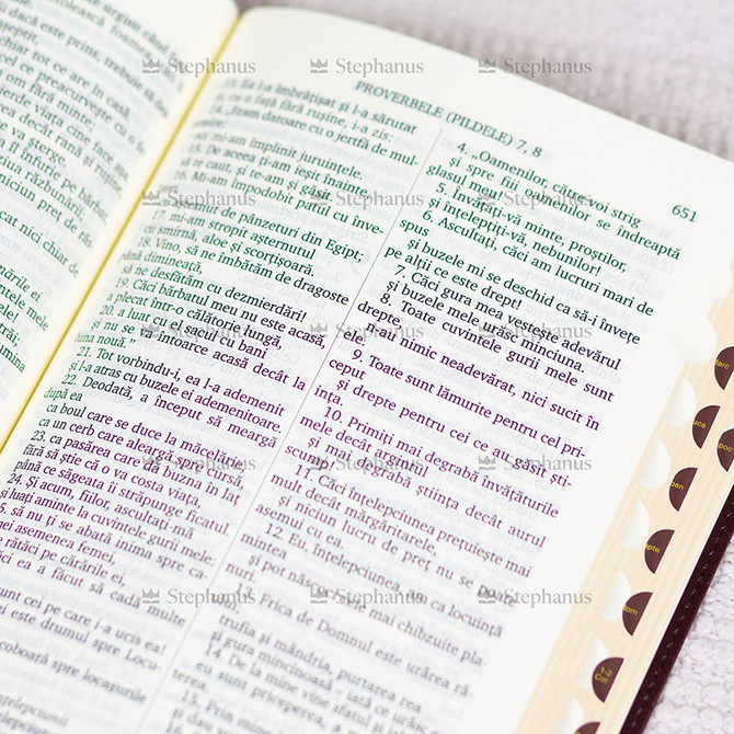 Biblia, Dumitru Cornilescu, ediție centenară, piele ecologică, bej închis/deschis, mare, index, EDC100 - 05 -  stephanus.ro