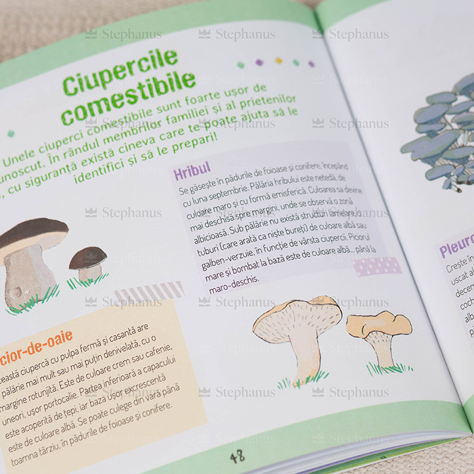 Micul ghid al aventurierului in padure - 04 stephanus.ro