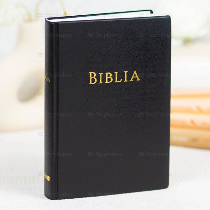 Biblia GBV 2025 - 01 - stephanus.ro