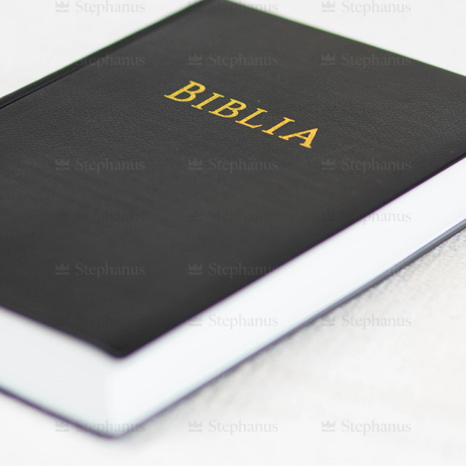 Biblia GBV 2025 - 02 - stephanus.ro