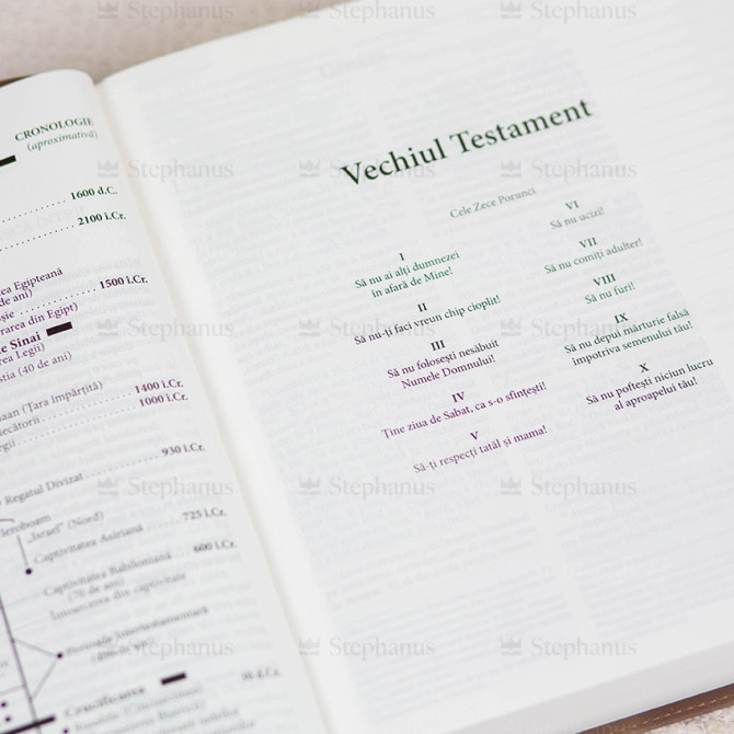 Biblia SCR NTR - Jurnal Rustic - 06 - stephananus.ro