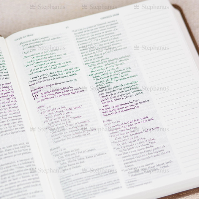 Biblia SCR NTR - Jurnal Rustic - 08 - stephananus.ro