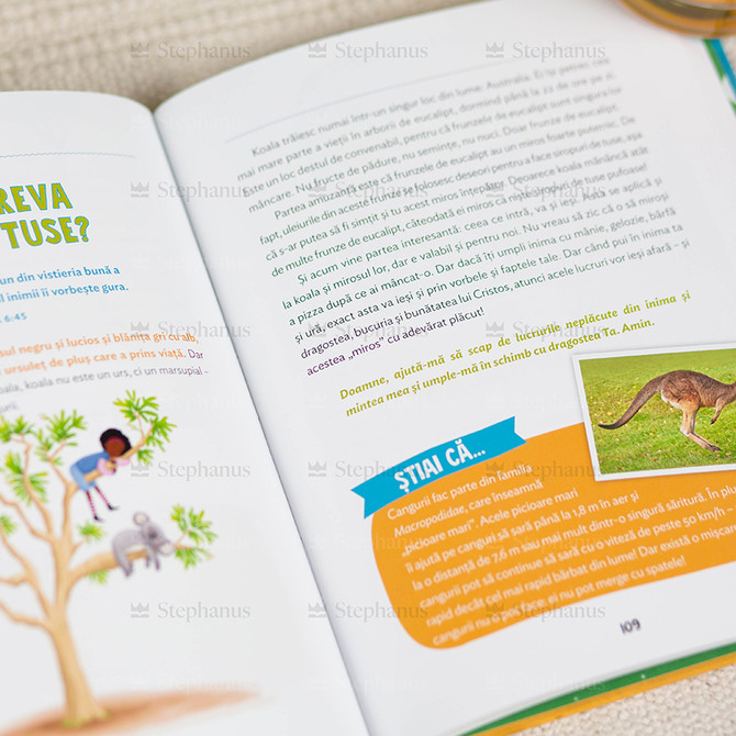 Minunea creatiei - Louie Giglio - 03 stephanus.ro