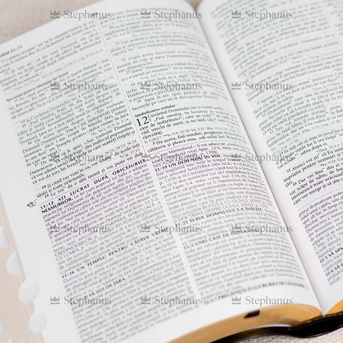 Biblia de studiu pentru o viață deplină, grena (fara fermoar) - 03 stephanus.ro