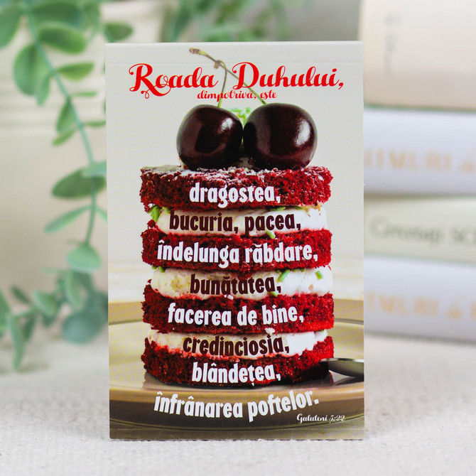 Carnetel: Roada Duhului - 01 stephanus.ro