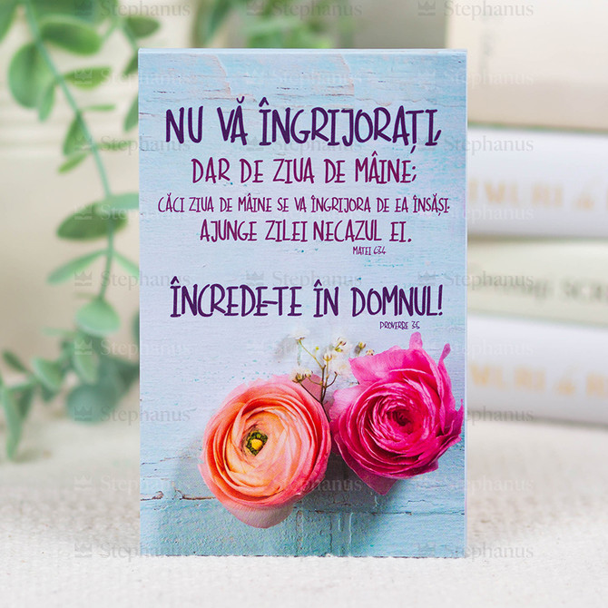 Carnetel: Nu va ingrijorati de ziua de maine - 01 stephanus.ro