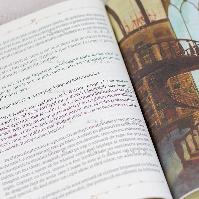 Povestea Fiului De Imparat - Cristina Croitoru - 03 stephanus.ro