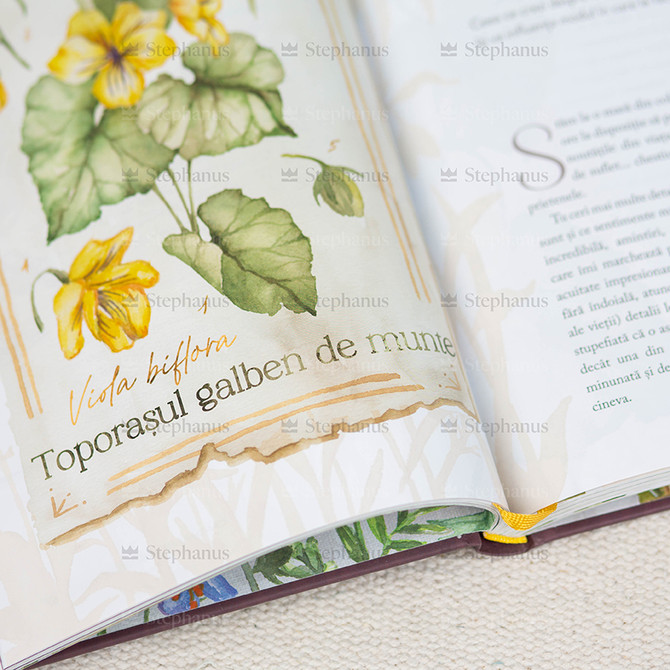 Pe calea florilor salbatice - Ruth Chou Simons - 05 stephanus.ro