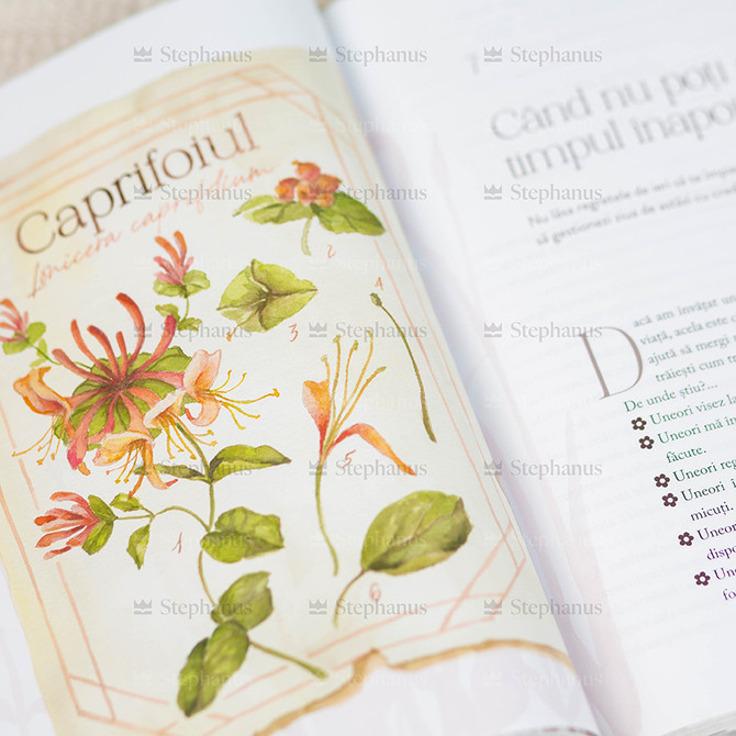 Pe calea florilor salbatice - Ruth Chou Simons - 03 stephanus.ro