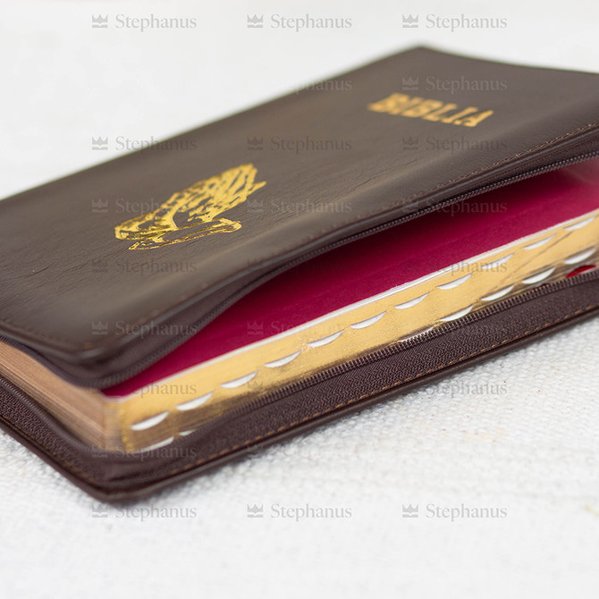 Biblia Sbr Medie - 057 Pf (Cu Maini) - Maro 2
