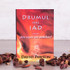Drumul spre iad - David Pawson - stephanus.ro