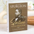 Sfaturi pentru predicatori - Charles Spurgeon - 01 - stephanus.ro