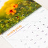 Calendar 2027 - Cand Privesc...