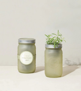 Modern Sprout Garden Jar - Rosemary