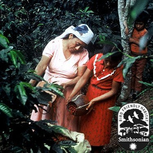 Dean's Beans Nicaraguan French Roast