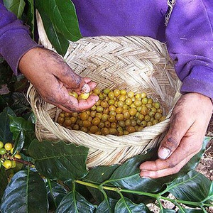 Dean's Beans Roadhouse Blend