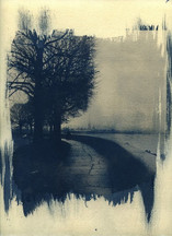 The Art of the Sun Print - Cyanotype Workshop with Kathy Murray