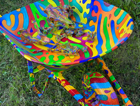 Romayne Dawnay - 'The Dancing Bones of St.Francis'