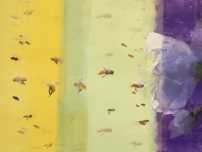 Pamela Lawson: 40 Years on This Land