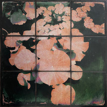 Jessica Robey - 'The Garden of Earthly Delights'