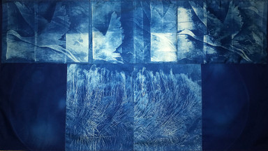 Opening reception, 'Kathy Murray - The Landscape Within'