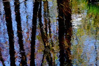 Opening Reception, 'Peter Fischman - Lightscapes: The Subject is not the Object'