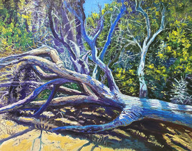 Mark Lore - Surf & Turf  | A Visual Feast of Color and Texture