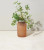 Modern Sprout Garden Jar - Parsley